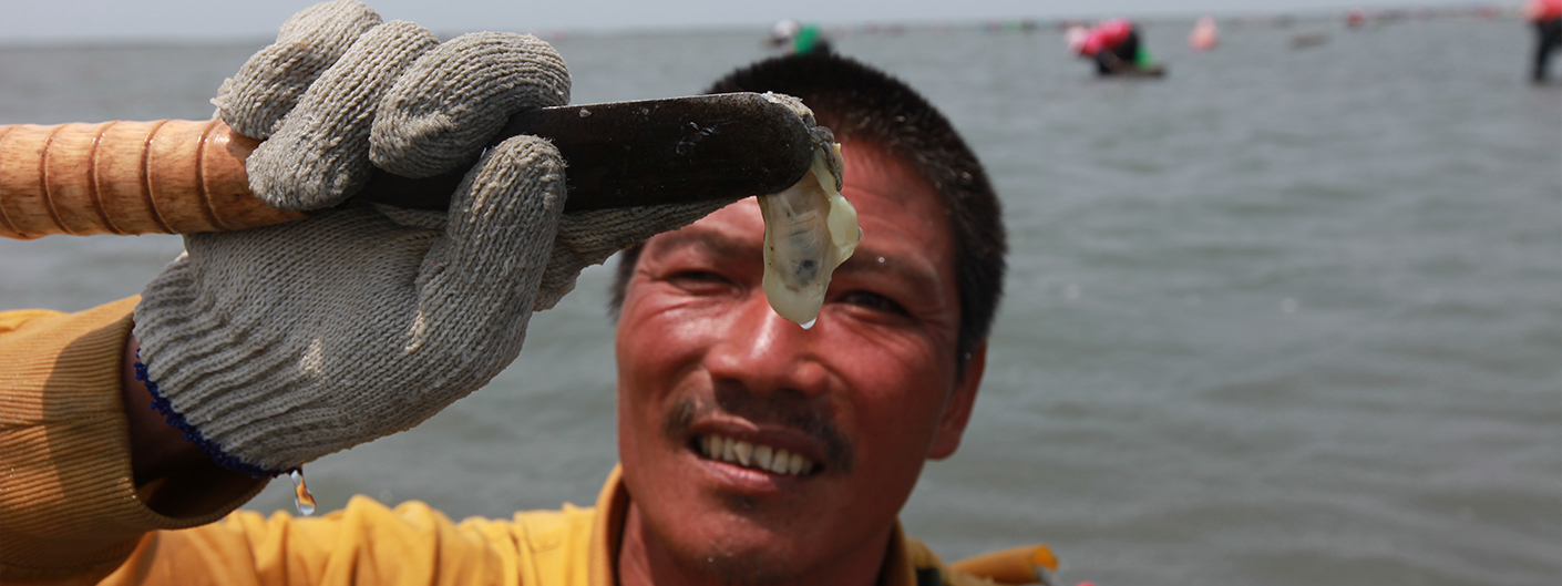 在堅忍中生生不息